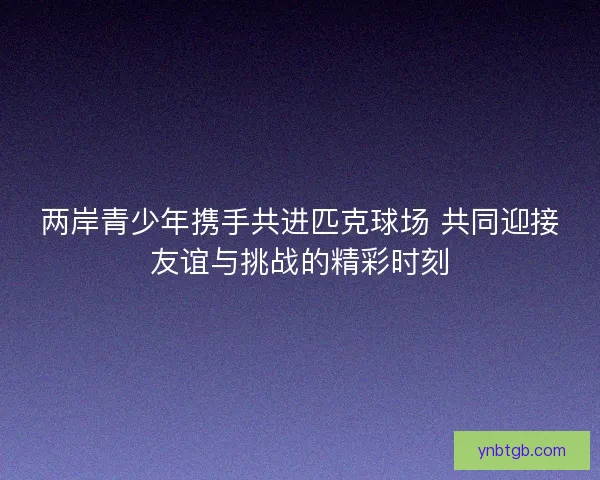 两岸青少年携手共进匹克球场 共同迎接友谊与挑战的精彩时刻